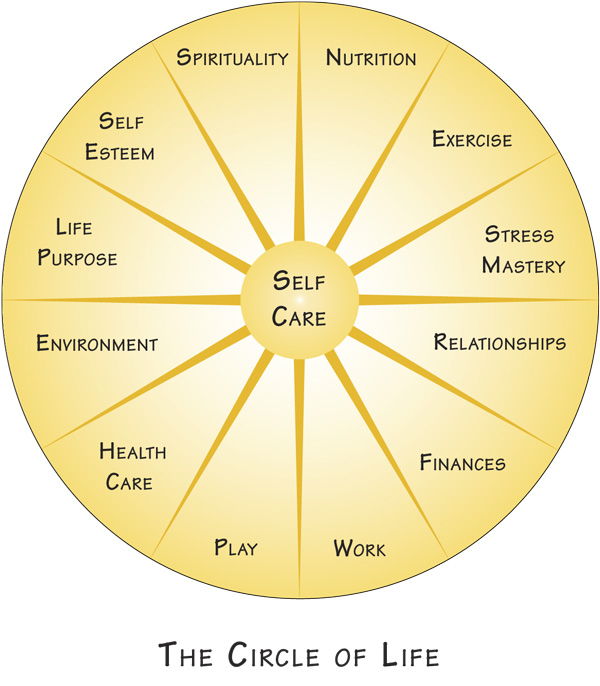 wheel of life coaching tool pdf